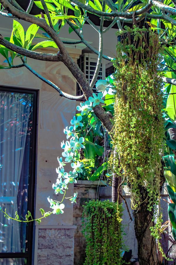 Villa Impian Canggu Exterior foto